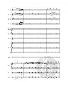 Ruy Blas Konzert-Ouvertüre op. 95 von Felix Mendelssohn Bartholdy 