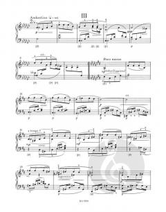 Im Nebel von Leo Eugen Janáček 