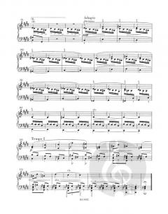 Auf verwachsenem Pfade von Leo Eugen Janáček 