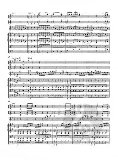 Die Werke für Flöte und Orchester von Wolfgang Amadeus Mozart im Alle Noten Shop kaufen