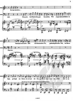 Friedenstag op. 81 (Richard Strauss) 