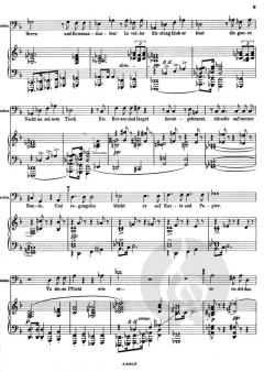 Friedenstag op. 81 (Richard Strauss) 