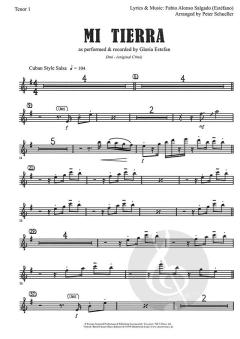Mi Tierra von Gloria Estefan 