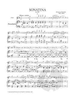 Sonatina G-major Op. 100 von Antonín Dvorák 