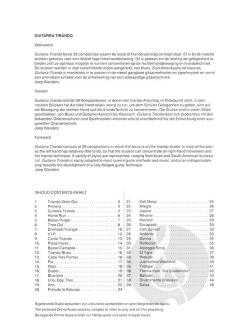 Guitarra Tirando von Joep Wanders 