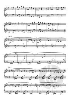 Classical Tunes Irish Harp Vol.1 von A. van Campen 