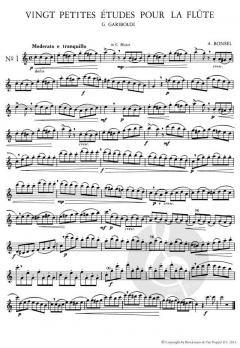 20 kleine Etüden op. 132 von Giuseppe Gariboldi 