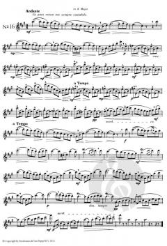 20 kleine Etüden op. 132 von Giuseppe Gariboldi 