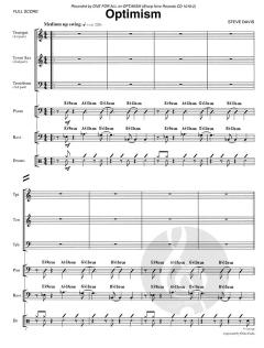 Optimism von Stephen Davis 