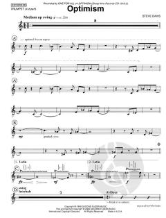Optimism von Stephen Davis 