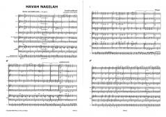 Havah Nagila 