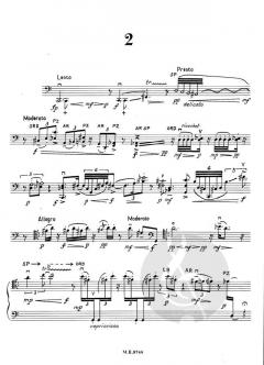 Solo Nr. 2 von Piotr Moss 