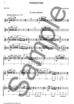 Terrestre (Kaija Saariaho) 