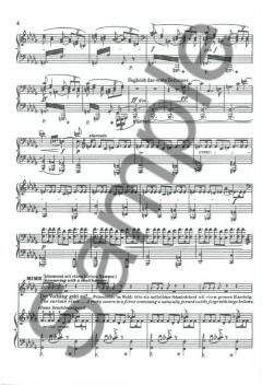 Siegfried von Richard Wagner 