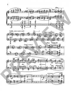 12 Studies op. 38 von Peter Racine Fricker 