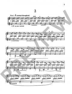 12 Studies op. 38 von Peter Racine Fricker 