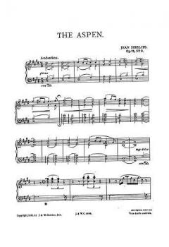 12 Selected Pieces for Piano Vol. 2 von Jean Sibelius 