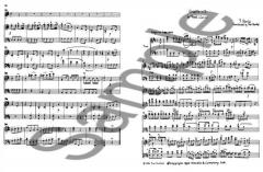 Concerto in D von Johann Stamitz 