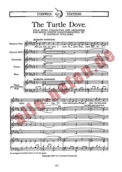 The Turtle Dove 