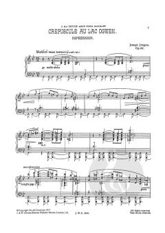 Crepuscule Au Lac Ogwen: Impression 