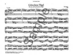 Gebrochene Flügel von Tilo Medek 