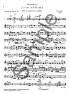 Schattenspiele von Tilo Medek 