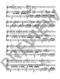 Zwei Ständchen D 957/4 / D 889 von Franz Schubert 