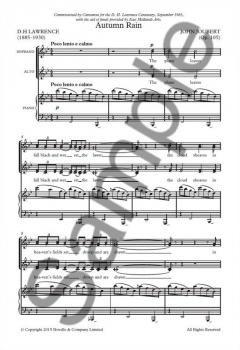 Autumn Rain von John Joubert 