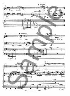 Ariel's Hail (Kaija Saariaho) 