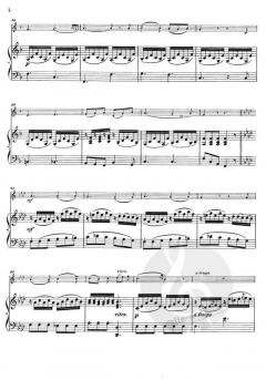 Plaisir d'amour von Johann Paul Aegidius Martini 