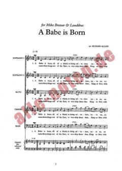 A Babe Is Born 