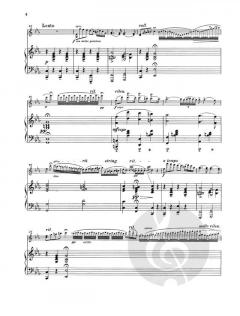 Zigeunerweisen op. 20 von Pablo de Sarasate 