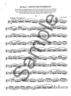 The Piccolo Study Book von Trevor Wye 