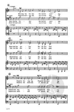 Morning Has Broken (Cat Stevens) 