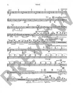 Concerto Nr. 2 in C-Dur op. 160 von Mario Castelnuovo-Tedesco 