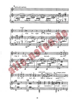 Mountain Plover von Arthur Bliss 