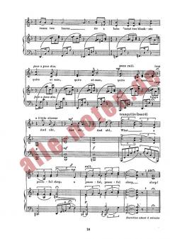 Mountain Plover von Arthur Bliss 