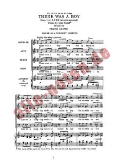 There Was A Boy von Peter Aston 