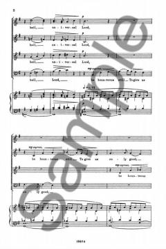 Hail Universal Lord von George Dyson 