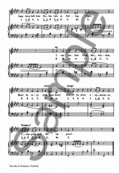 The Snowman von Peter Jenkyns 