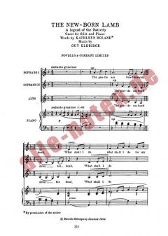 New Born Lamb von Guy Eldridge 