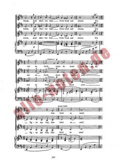 New Born Lamb von Guy Eldridge 