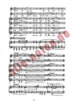 Magnificat von Hugo Cole 