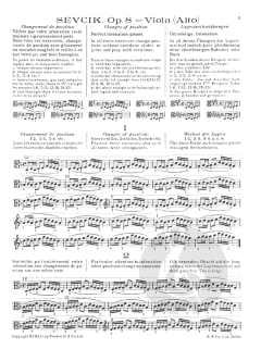 Changes Of Position And Preparatory Scale Studies von Otakar Ševčík 