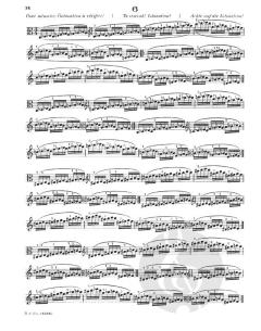 Viola Studies: School Of Technique Parts 3 And 4 von Otakar Ševčík im Alle Noten Shop kaufen