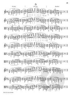 Viola Studies: School Of Technique Parts 3 And 4 von Otakar Ševčík im Alle Noten Shop kaufen