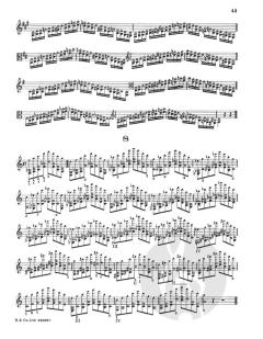 Viola Studies: School Of Technique Parts 3 And 4 von Otakar Ševčík im Alle Noten Shop kaufen