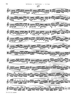 Sevcik Viola Studies: School Of Technique Part 2 von Otakar Ševčík im Alle Noten Shop kaufen