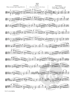 Sevcik Viola Studies: School Of Technique Part 1 von Otakar Ševčík im Alle Noten Shop kaufen