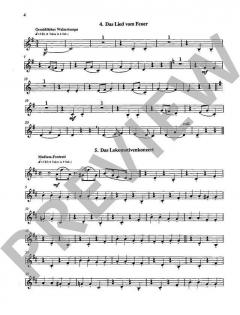 Dampflok-Story von Reimund Hess 